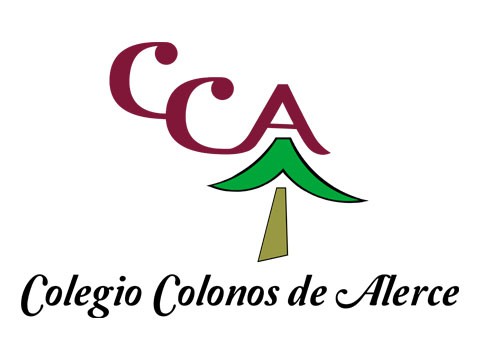 Colegio Colonos - WDesign - Diseño Web Osorno